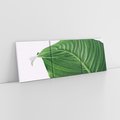 Obraz na płótnie 120x40 - Zielone liście monstery - liście, monstera