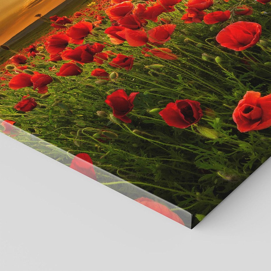 Obraz na płótnie 80x80 - Maki na łące: Przebudzenie wiosny - mak, maki