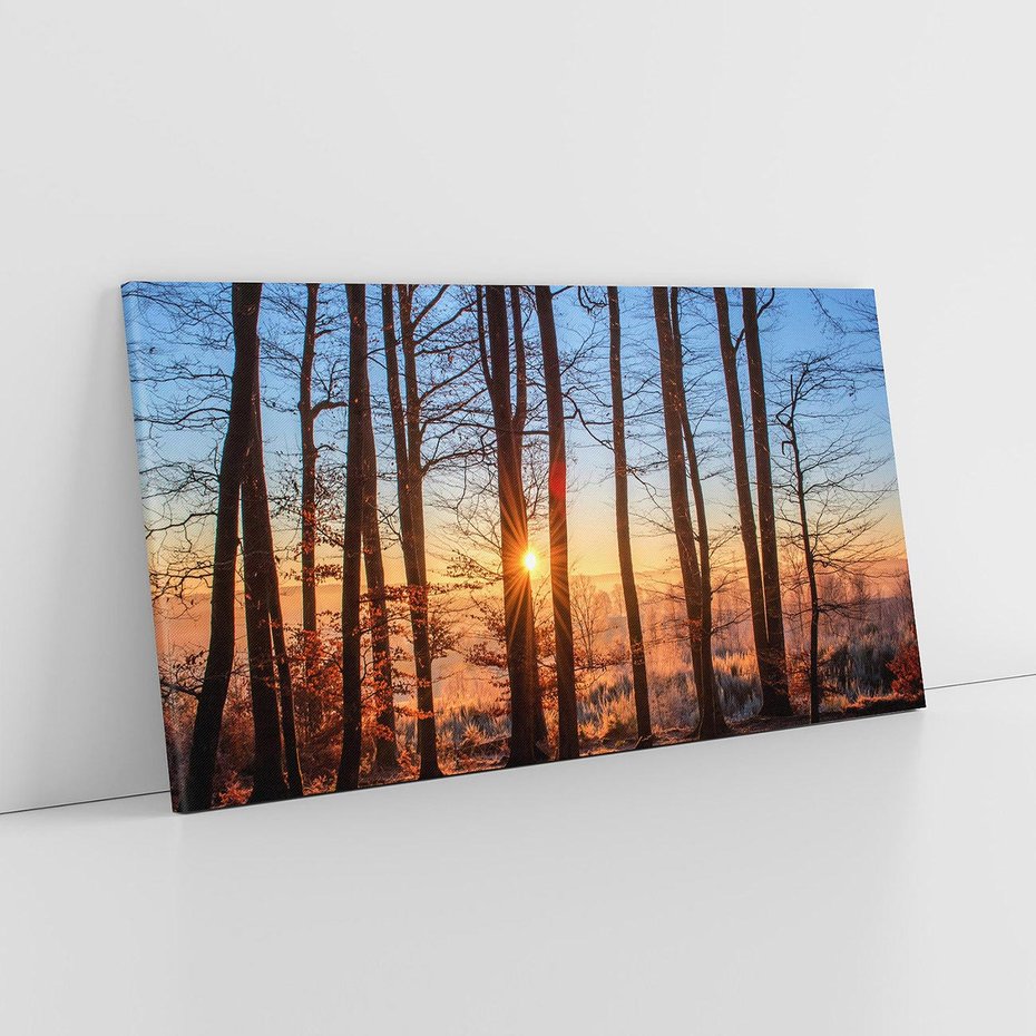 Obraz na płótnie 120x60 - Piękno lasu - las, drzewa