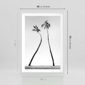 Plakat w ramie 50x70 - Samotne Palmy - czarno biała fotografia, dwie samotne palmy - rama biała