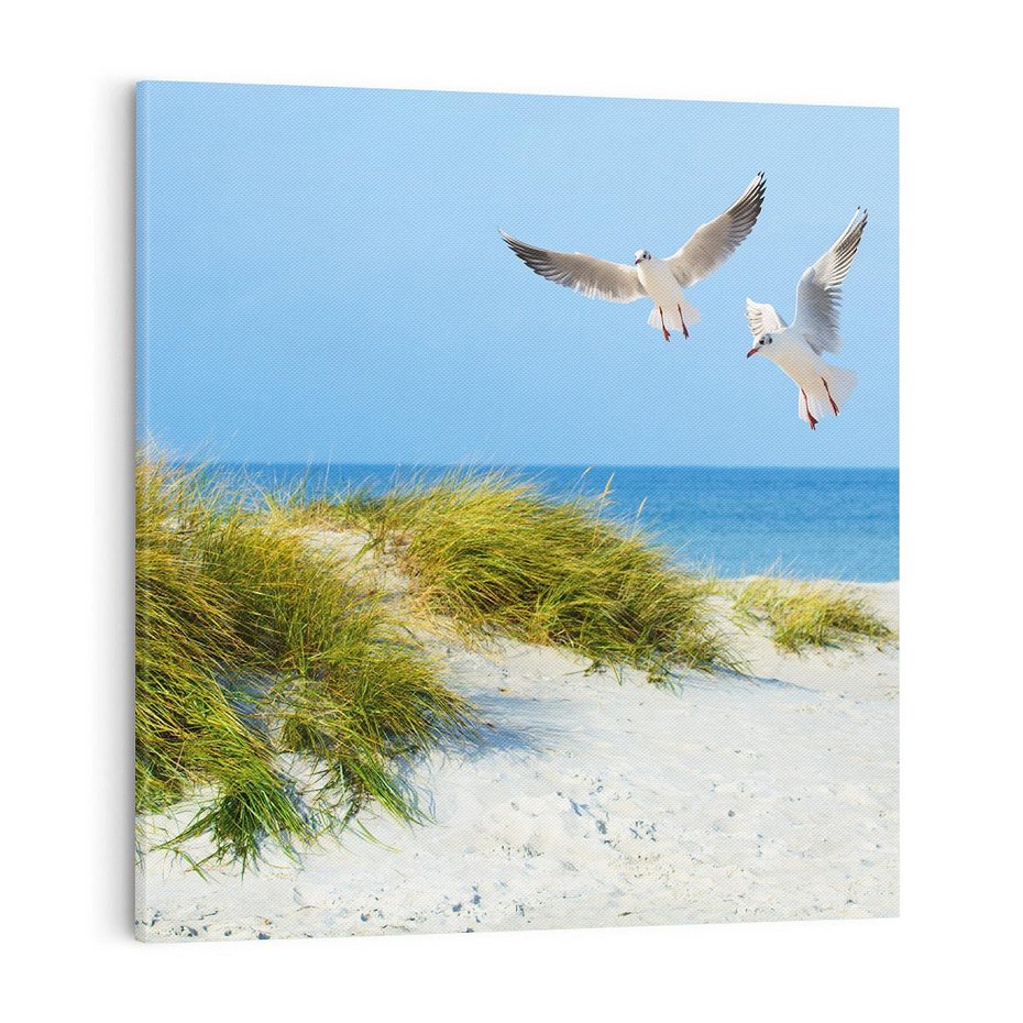 Obraz na płótnie 40x40 - Mewy nad morską plażą - mewy, plaża