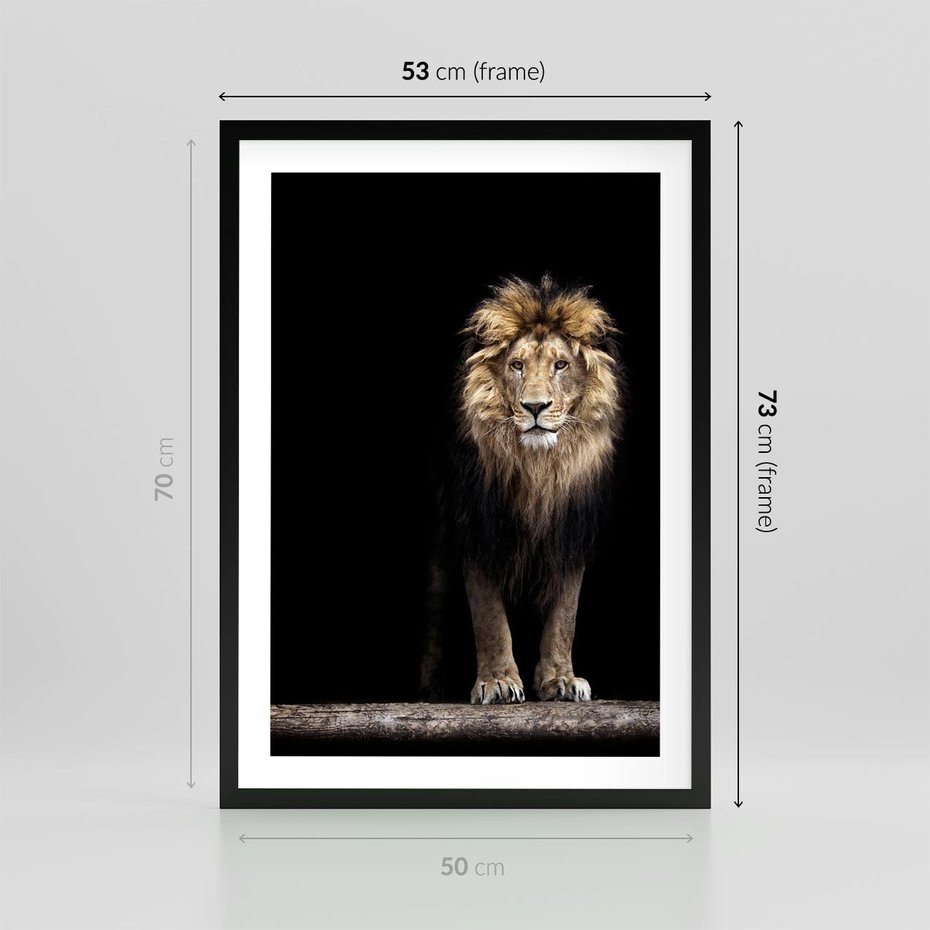Plakat w ramie 50x70 - Lew: dzikie piękno natury - lew, dzikie - rama czarna