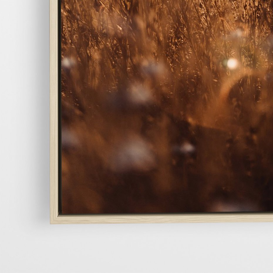 Obraz w ramie 70x100 - Zachwyt zachodem słońca na łące - zachód, słońca - rama drewno