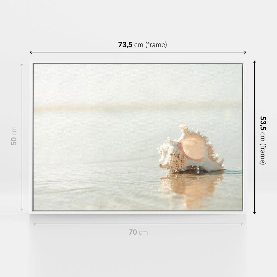 Obraz w ramie 70x50 - Spokój Plaży - fotografia, biała muszla na plaży - rama biała
