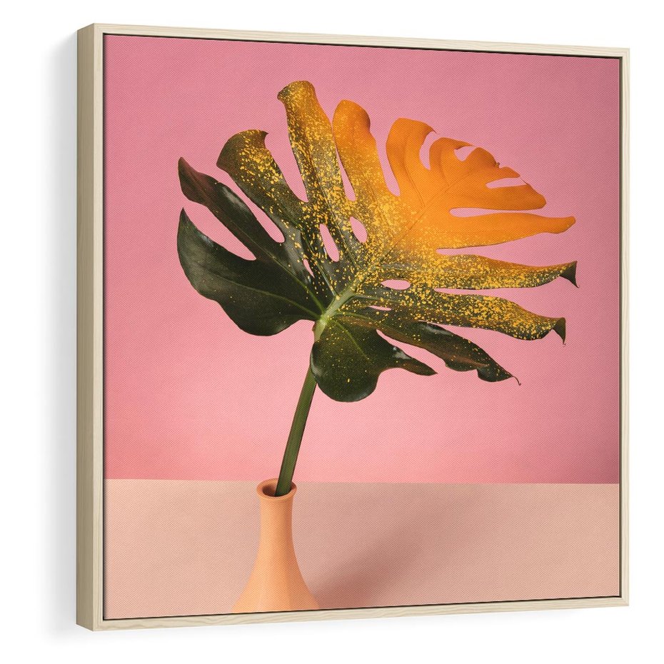 Obraz w ramie 50x50 - Egzotyczna monstera - monstera, liść - rama drewno