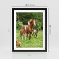 Plakat w ramie 40x50 - Galopujące konie - konie, galop - rama czarna