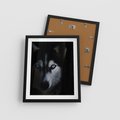 Plakat w ramie 40x50 - Wilk i husky: siła przyjaźni - wilk, husky - rama czarna