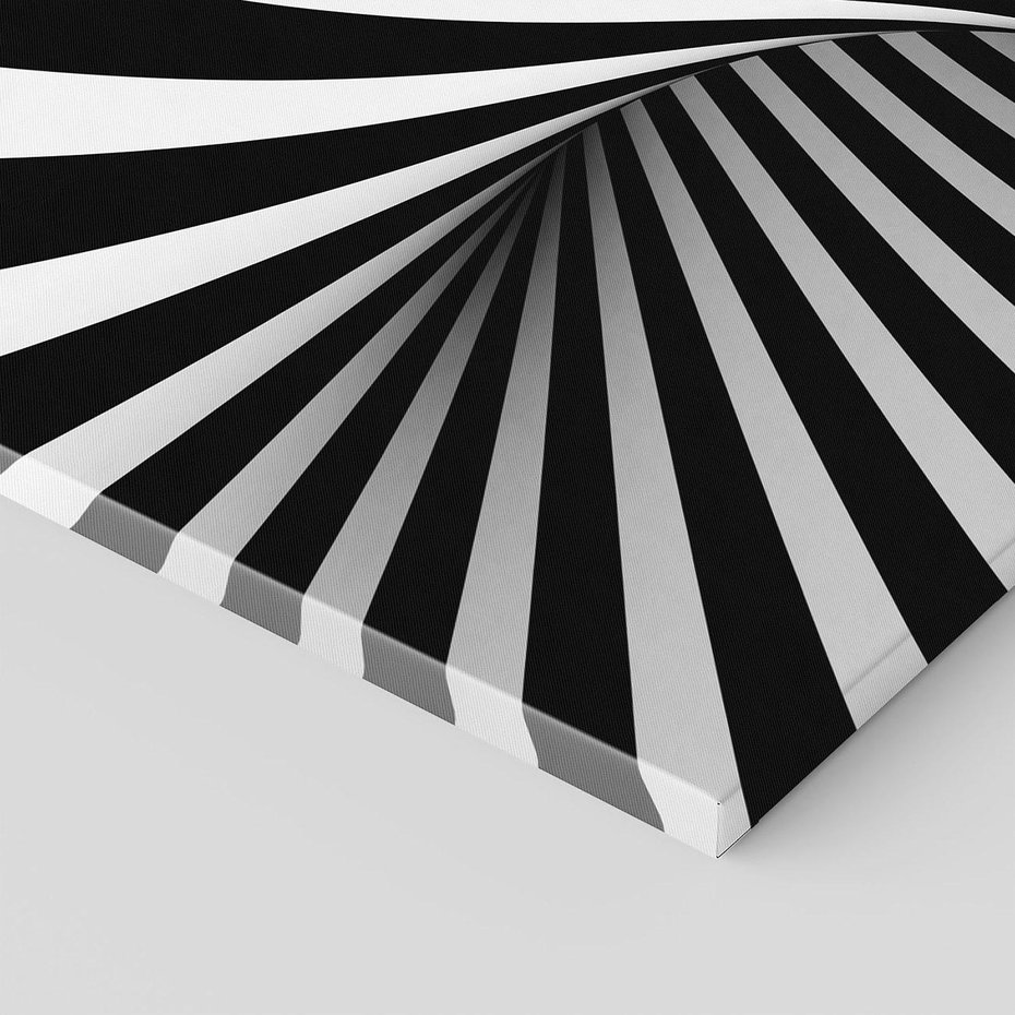 Obraz na płótnie 70x50 - Kolorowa Abstrakcja: Inspiracje Zebry - abstrakcja, 3d