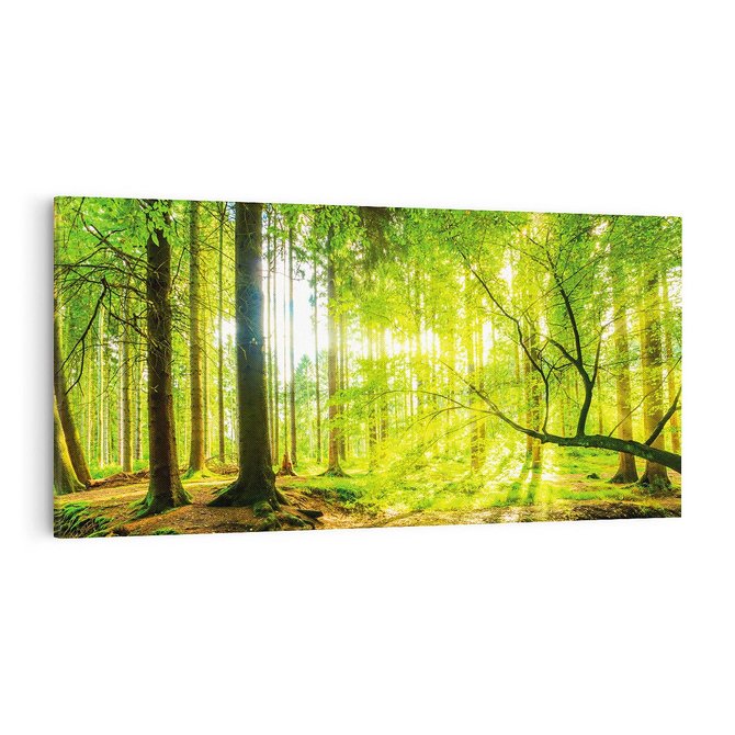 Obraz na płótnie 100x50 - Las w pełnym rozkwicie - las, drzewa