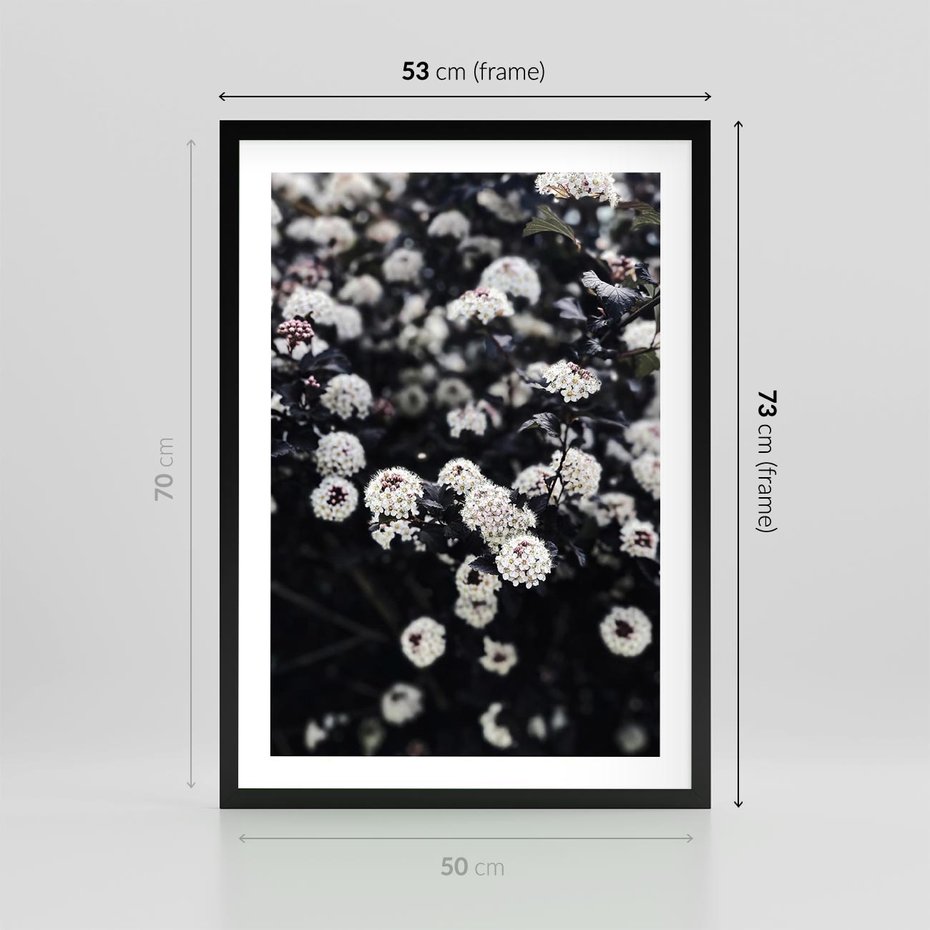 Plakat w ramie 50x70 - Białe Kwiaty na Kwitnącym Krzewie - białe kwiaty, kwitnący krzew - rama czarna