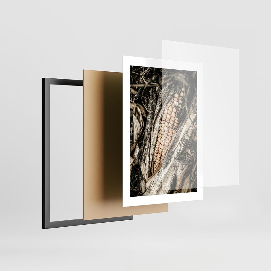 Plakat w ramie 30x40 - Kukurydza w Jesiennej Scenie - kukurydza, jesień - rama czarna