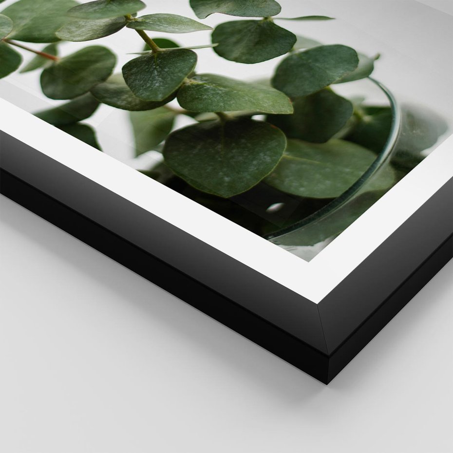 Plakat w ramie 40x50 - Zielone eukaliptusy - eukaliptus, liście - rama czarna