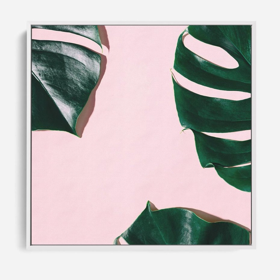 Obraz w ramie 80x80 - Siła Natury - liście, monstera - rama biała