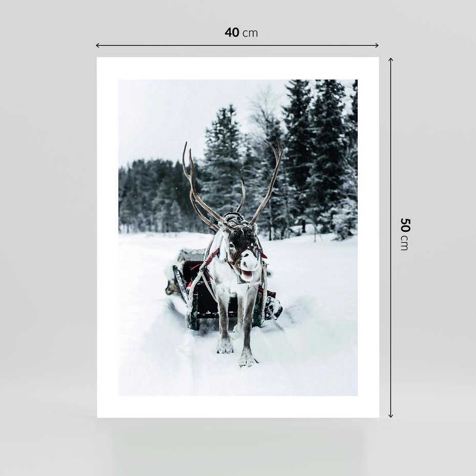 Plakat bez ramy 40x50 - Świąteczna Przygoda - renifer, śnieg