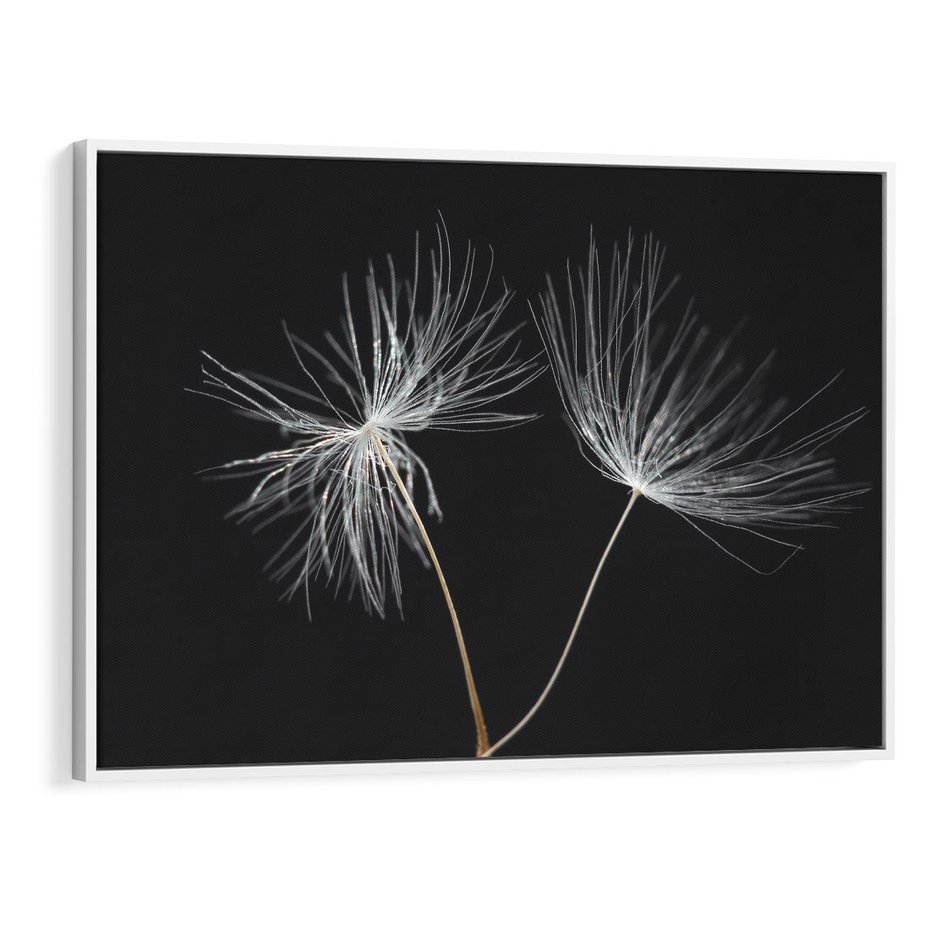 Obraz w ramie 100x70 - Delikatność Wiatru - dmuchawce, makro - rama biała