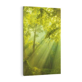 Obraz na płótnie 80x120 - drzewa w harmonii - las, drzewa
