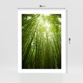 Plakat bez ramy 30x40 - Siła Natury - drzewa, las