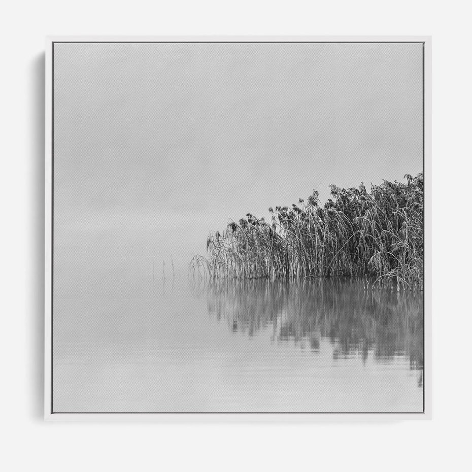 Obraz w ramie 80x80 - Mglisty Brzeg Jeziora - czarno białe zdjęcie, zamglone jezioro - rama biała