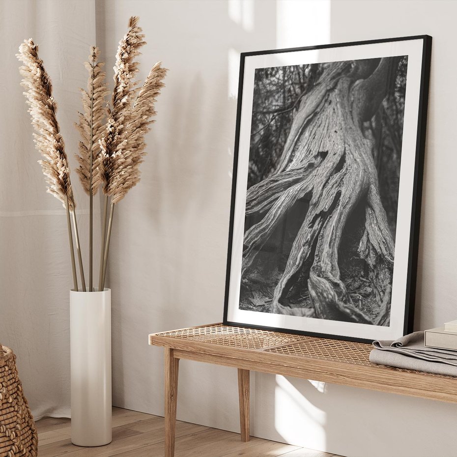 Plakat bez ramy 30x40 - Siła Natury - czarno biała fotografia, korzenie wielkiego drzewa