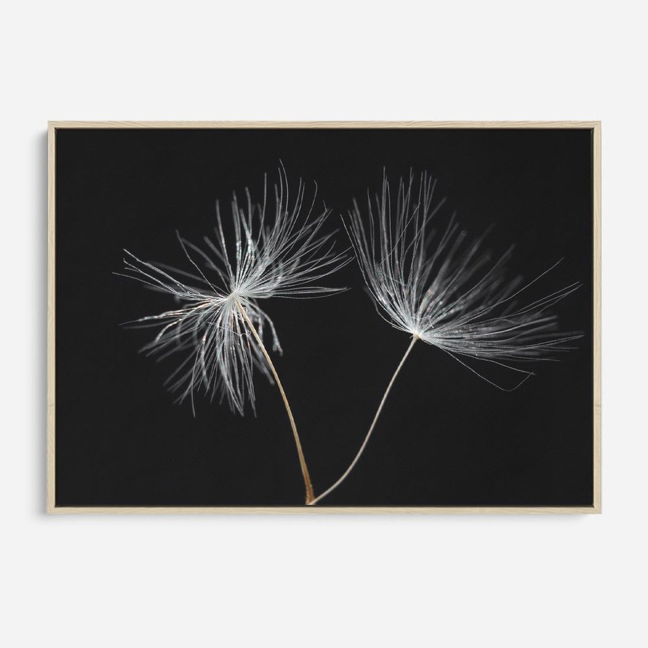 Obraz w ramie 100x70 - Delikatność Wiatru - dmuchawce, makro - rama drewno