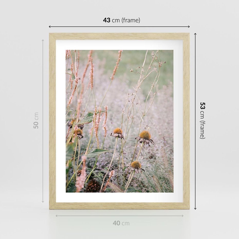 Plakat w ramie 40x50 - Przyroda w Pełnym Blasku: Kolorowa łąka z Kwiatami - łąka, kwiaty na łące - rama drewno