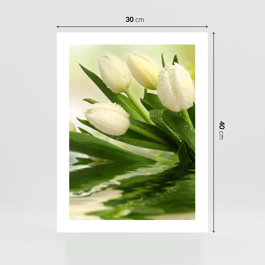 Plakat bez ramy 30x40 - Białe Piękno - białe, tulipany