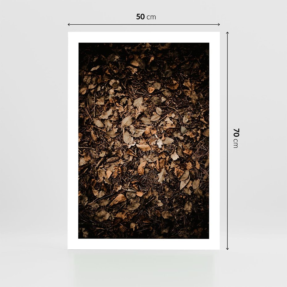 Plakat bez ramy 50x70 - Brązowe Liście w Scenerii - suche liście jesień brąz