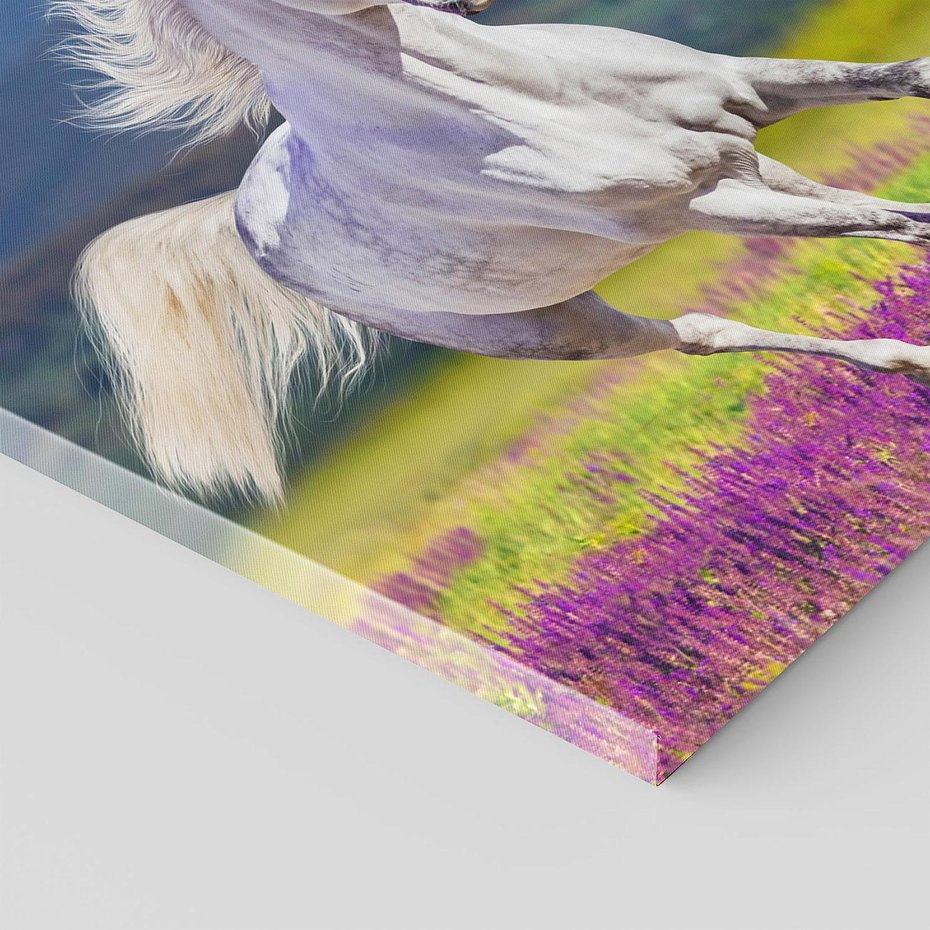 Obraz na płótnie 60x60 - Koń Góry: Spotkanie z Wielką Przyrodą - koń, góry