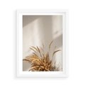 Plakat w ramie 50x70 - mpresyjne układy traw - boho, trawy - rama biała