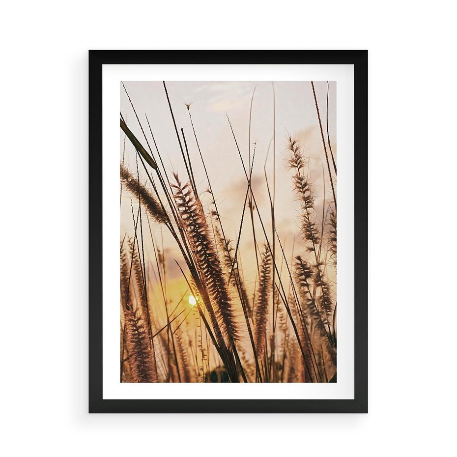 Plakat w ramie 50x70 - Malownicza Łąka z Trawam - trawy, łąka - rama czarna