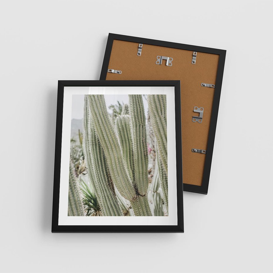 Plakat w ramie 40x50 - Duże Kaktusy w Pejzażu - kaktus, duże kaktusy na pustyni - rama czarna