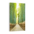 Obraz na płótnie 70x100 - Droga przez japoński bambusowy las - droga, japonia