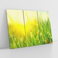 Obraz na płótnie 120x80 - Piękno Poranka - łąka, trawa