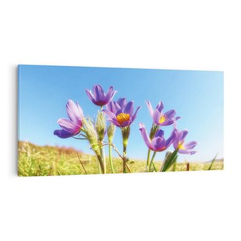 Obraz na płótnie 120x60 - Kwiatowa siła łąki - kwiaty, łąka
