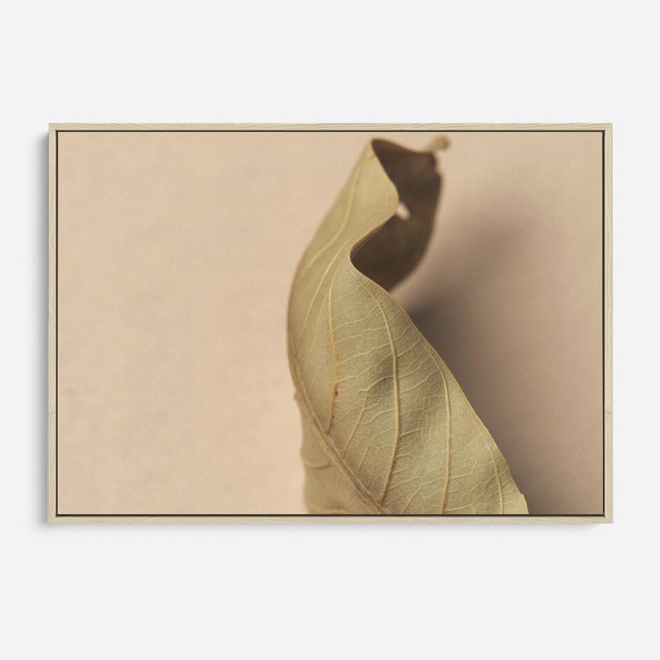 Obraz w ramie 100x70 - Boho suszone liście - suszony, liść - rama drewno