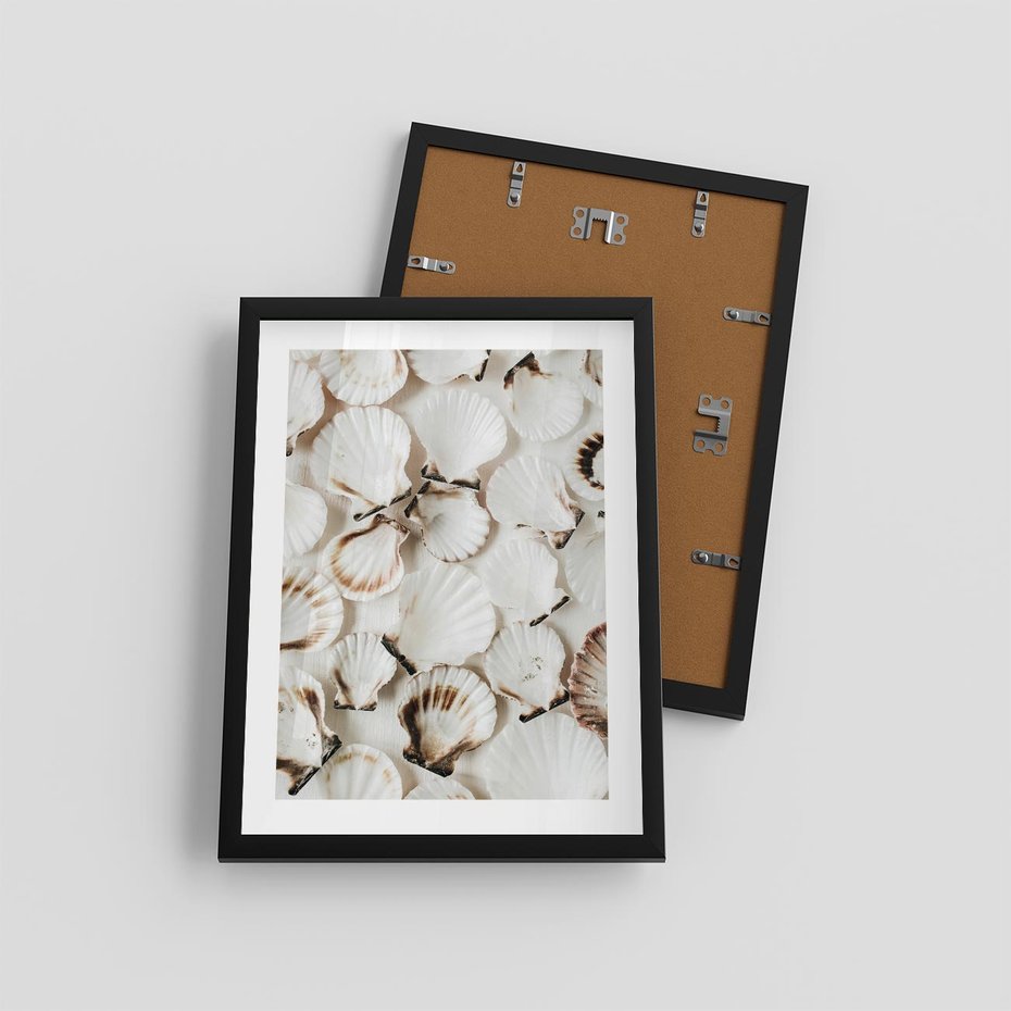 Plakat w ramie 30x40 - Białe Muszle - białe muszle, ujęcie z góry - rama czarna