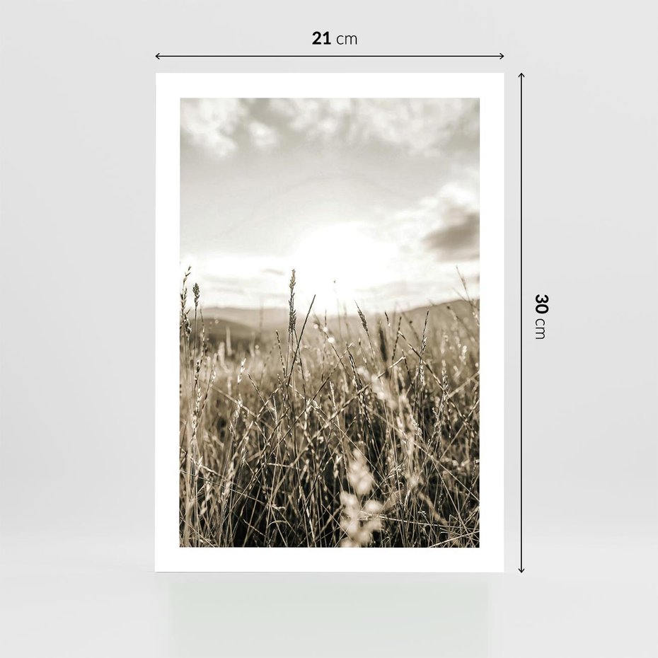 Plakat bez ramy 21x30 - Łąka w Klimacie Sepii - suche trawy, łąka