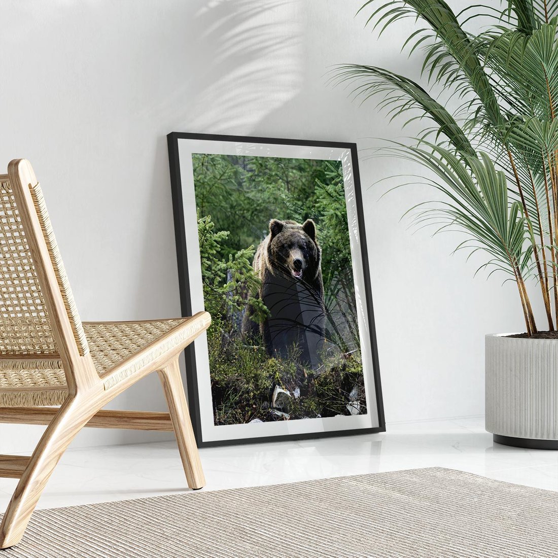 Plakat w ramie 30x40 - Spotkanie z Niedźwiedziem w Lesie - niedźwiedź, las - rama czarna