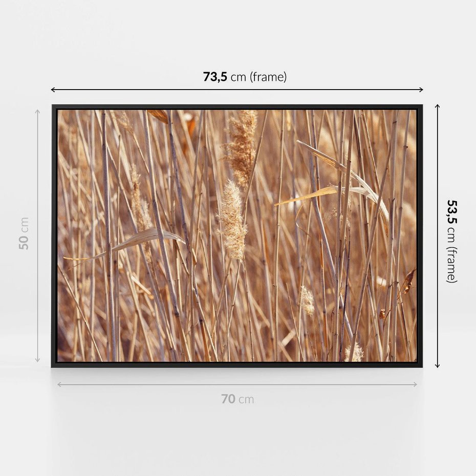Obraz w ramie 70x50 - Mistrzowskie suche trawy - suche, trawy - rama czarna