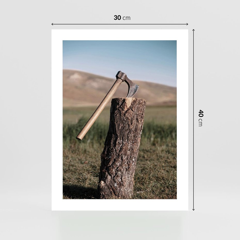 Plakat bez ramy 30x40 - Rustykalna Praktyczność: Fotografia Siekiery - rustykalna fotografia, siekiera wbita w pieniek