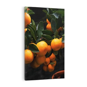 Obraz na płótnie 80x120 - Mandarynki na Drzewku - Owoce Pory Roku - mandarynki, drzewko
