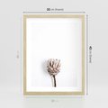 Plakat w ramie 30x40 - Suszona Roślina na Białym Tle - minimalizm, suszona roślina - rama drewno