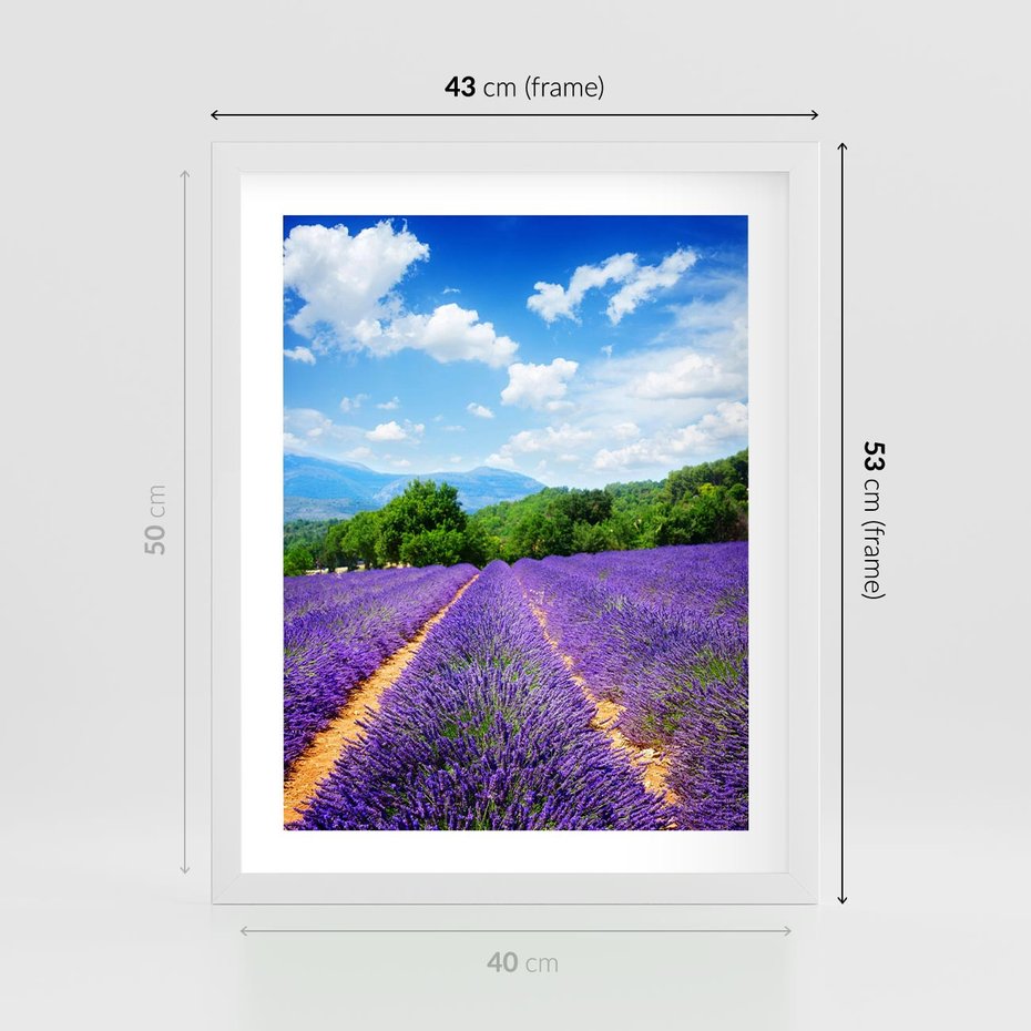 Plakat w ramie 40x50 - Prowansalska Lawenda - lawenda, prowansja - rama biała