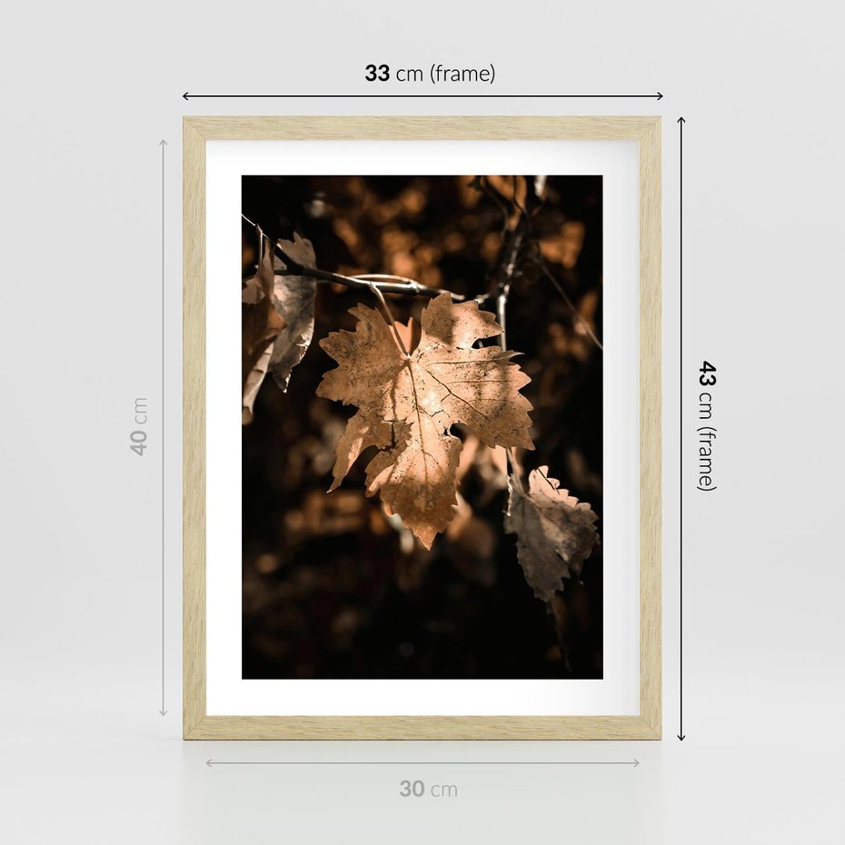 Plakat w ramie 30x40 - Uroczy Liść na Drzewie - jesienny liść, żółty liść na drzewie - rama drewno