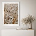Plakat bez ramy 21x30 - Beżowa Trawa - suche trawy, zbliżenie