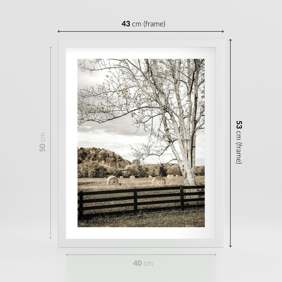 Plakat w ramie 40x50 - Drzewa i Snopki Siana - farma, drzewa - rama biała
