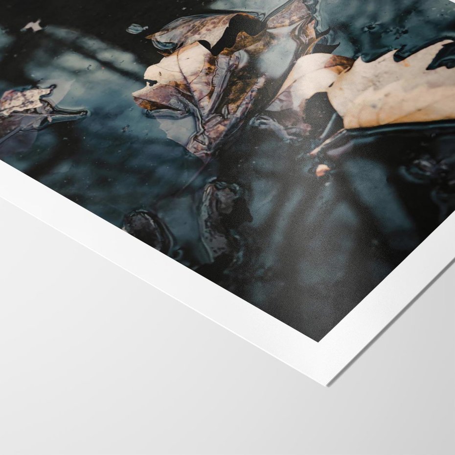 Plakat bez ramy 50x70 - Jesienne Liście w Kałużach: Odbicie Natury - jesienne liście wkałuży, fotografia