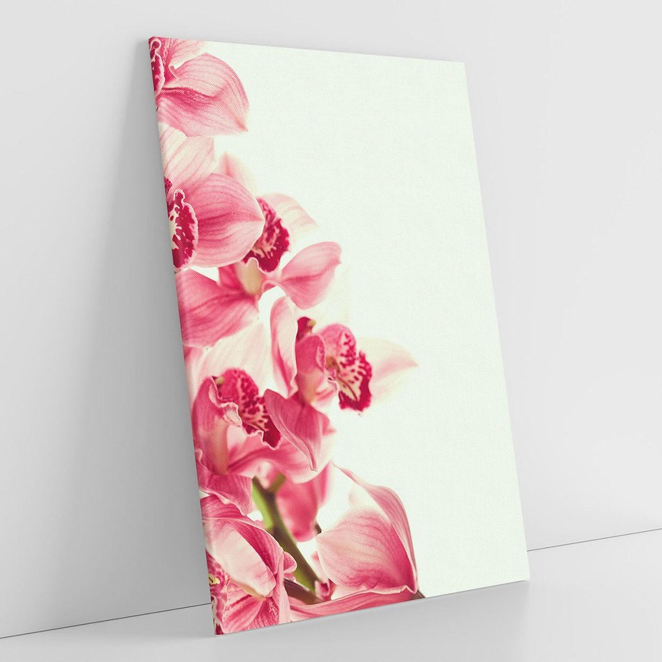 Obraz na płótnie 70x100 - Orchidea - delikatne kwiaty - orchidea, kwiaty