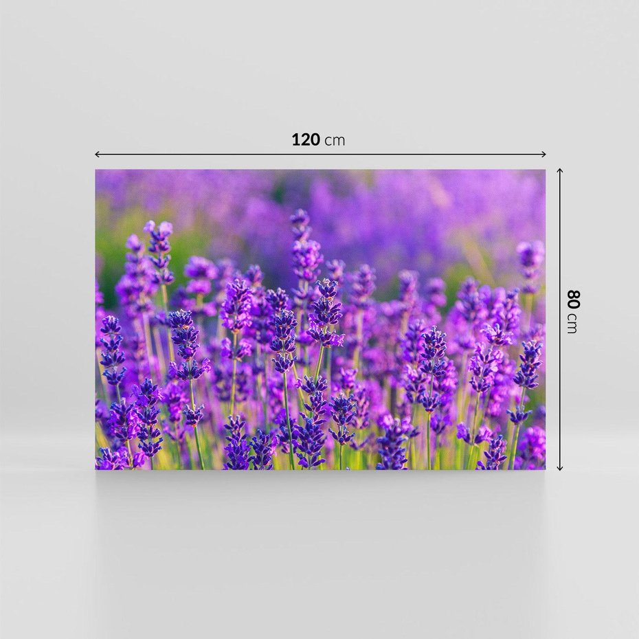 Obraz na płótnie 120x80 - Zaklęta lawenda - lawenda, kwiaty
