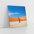 Obraz na płótnie 60x60 - Słońce i Suche Drzewo - pustynia, suche